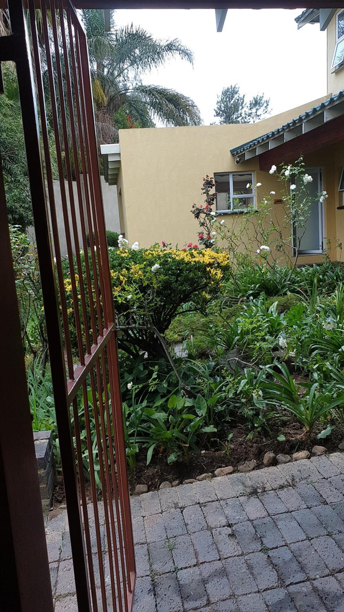 Matina Guest House Johannesburg Camera foto